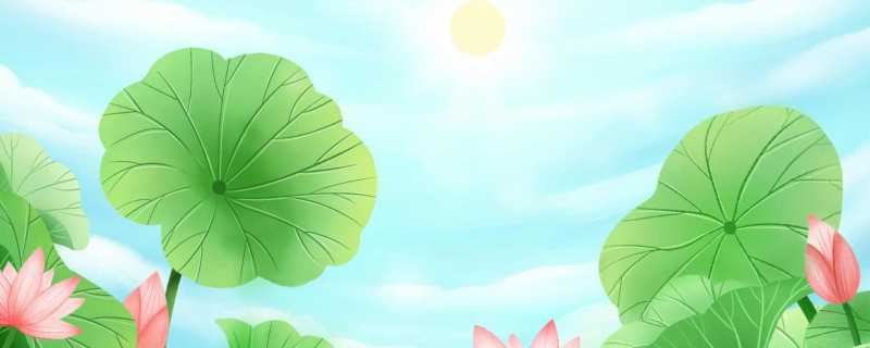 2023年女最旺财的网名 2023女人幸运又聚财的网名