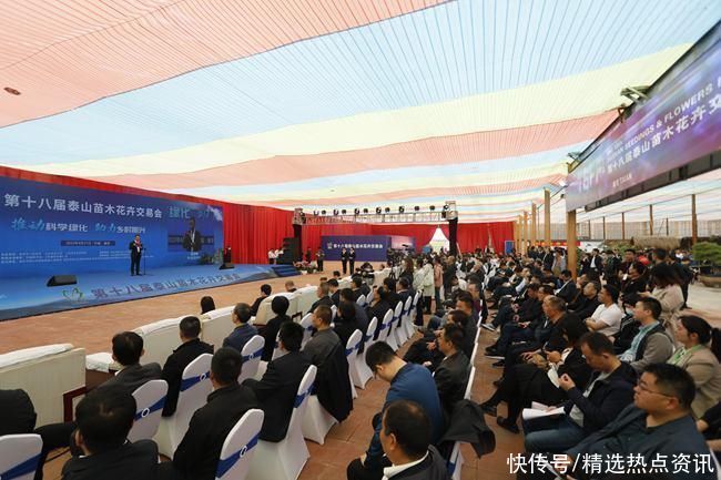 “南花”“北木”相会泰山 “花木经济”成“绿色银行” “南花”“北木”相会泰山 “花木经济”成“绿色银行”