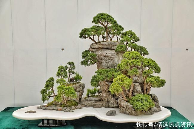 “南花”“北木”相会泰山 “花木经济”成“绿色银行” “南花”“北木”相会泰山 “花木经济”成“绿色银行”