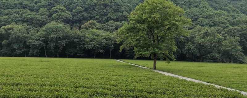 江浙沪人已经放弃五一抢票 今年五一这么疯狂的吗