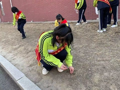 建议生态文明 建造绿色家乡 吉林省城市建造校园展开生态文明教育系列活动