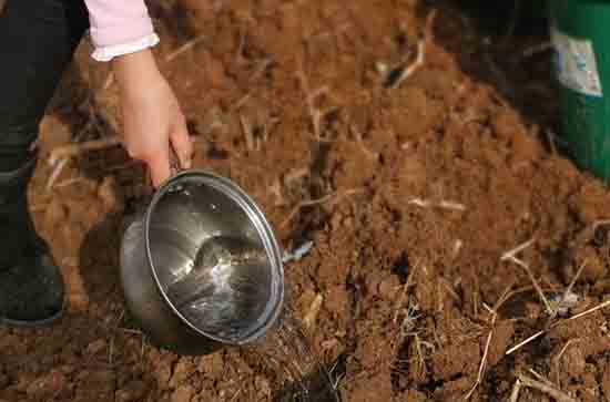 五一快乐发朋友圈的图片 五一快乐发朋友圈文案