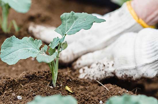 五一结束后适合发朋友圈的句子 五一结束后适合发动态的句子 五一结束后适合发朋友圈的句子 五一结束后适合发动态的句子