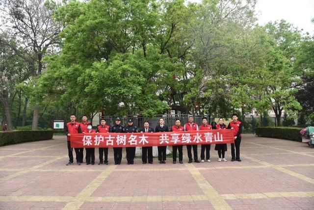 寿光市自然资源和规划局:维护古树名木 同享绿水青山 寿光市自然资源和规划局:维护古树名木 同享绿水青山