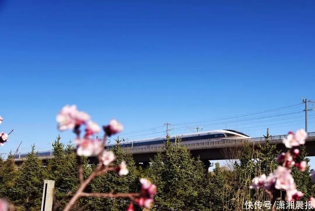 对!高铁上可以点外卖!能送到座位的那种 对!高铁上可以点外卖!能送到座位的那种