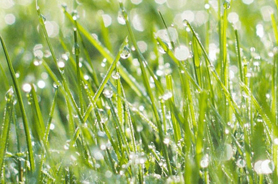 2023年武汉6月份出梅了吗 武汉梅雨季节有多久