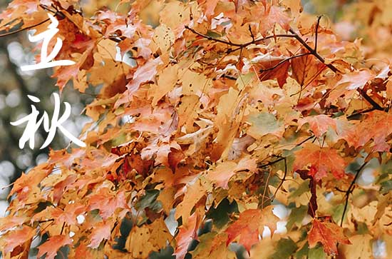 2023年中秋是在立秋这个节气吗 2023年中秋是在立秋这个节气吗