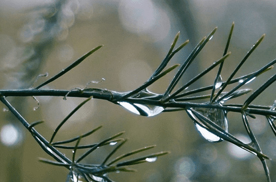 2023年武汉每年几月份淹水 武汉的雨季集中在几月