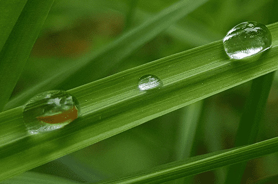 为什么武汉这些天老是下雨 武汉市一年有多少天下雨 为什么武汉这些天老是下雨 武汉市一年有多少天下雨