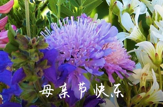 母亲节给妈妈发多少红包合适