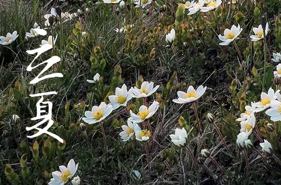 2023年立夏将至,关于立夏的俗语 2023年立夏将至,关于立夏的俗语