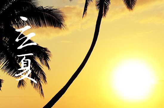 立夏了为啥还这么冷2023 立夏后还会冷多久 立夏了为啥还这么冷2023 立夏后还会冷多久