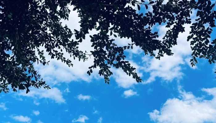 五一假期河南晴天为主 全省最高气温普遍在20℃以上