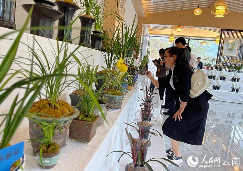 我国西部南亚热带地区首座植物园开园