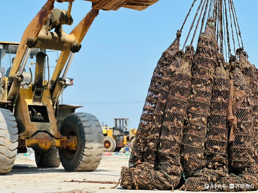 问候劳作者，五一我在岗