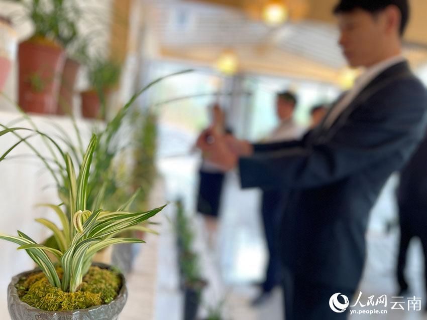 我国西部南亚热带地区首座植物园开园