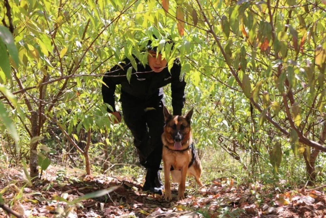 脱下戎衣，他们奏响“劳动者之歌”