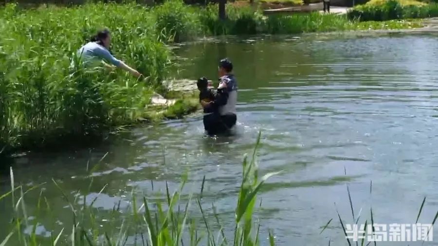 下水救人,青岛戴志磊 你可太帅了! 下水救人,青岛戴志磊 你可太帅了!