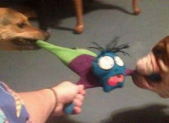 高兴一刻笑话:小时候玩鞭炮,喜欢把鞭炮往茅房里扔 高兴一刻笑话:小时候玩鞭炮,喜欢把鞭炮往茅房里扔