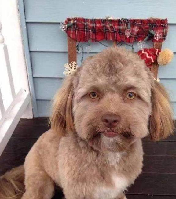 高兴一刻笑话:小时候玩鞭炮,喜欢把鞭炮往茅房里扔 高兴一刻笑话:小时候玩鞭炮,喜欢把鞭炮往茅房里扔