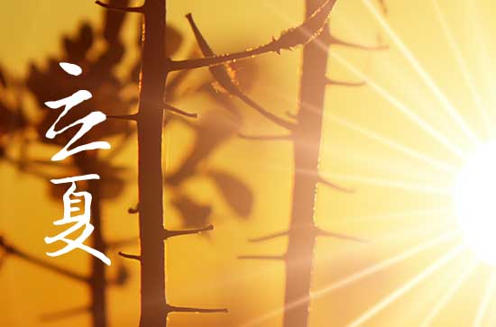 2023立夏的气温特点是怎样的 2023年立夏后天气还会冷吗 2023立夏的气温特点是怎样的 2023年立夏后天气还会冷吗