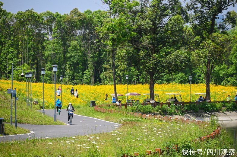 晨安丨暴雨预警!返程请关注 晨安丨暴雨预警!返程请关注