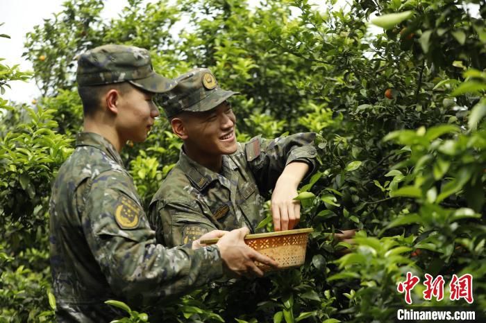 广西桂林：“五一”走进田间地头 饯别军民鱼水情