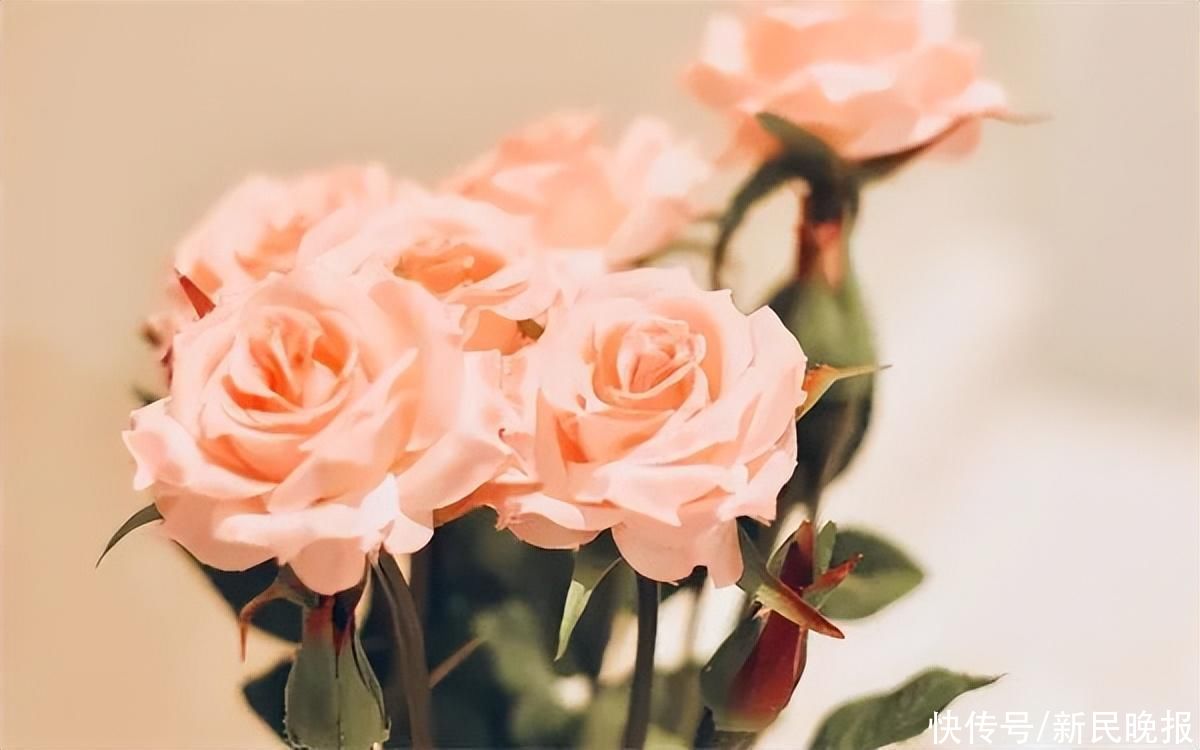 5月3日·上海早新闻