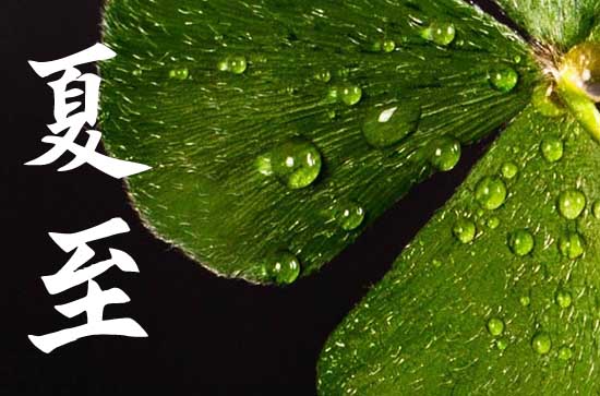 2023最新夏至节气文案说说