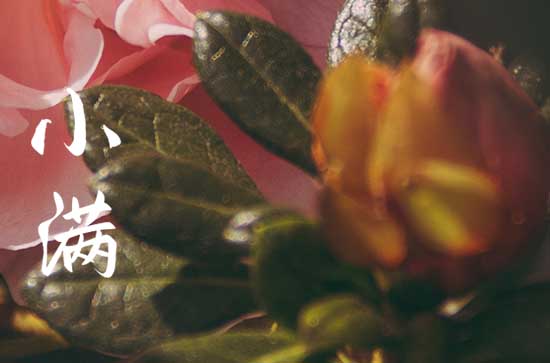 小满节气养生要诀 小满节气养生知识