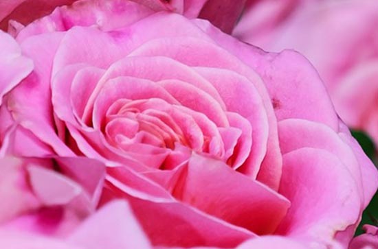 520礼物送女生什么好一些 520送男朋友什么礼物比较好 520礼物送女生什么好一些 520送男朋友什么礼物比较好