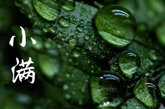 2023年小满温馨文案句子 2023年小满温馨文案句子