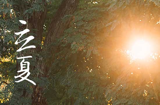 立夏朋友圈唯美治愈文案（最新100句）