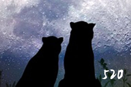 520送男朋友什么礼物比较好 520送男朋友礼物排行榜 520送男朋友什么礼物比较好 520送男朋友礼物排行榜