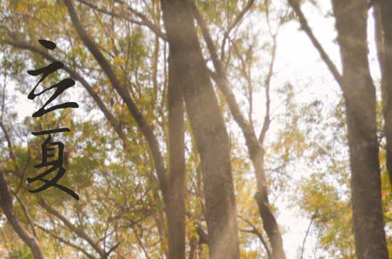 2023年立夏节气经典句子（100句）