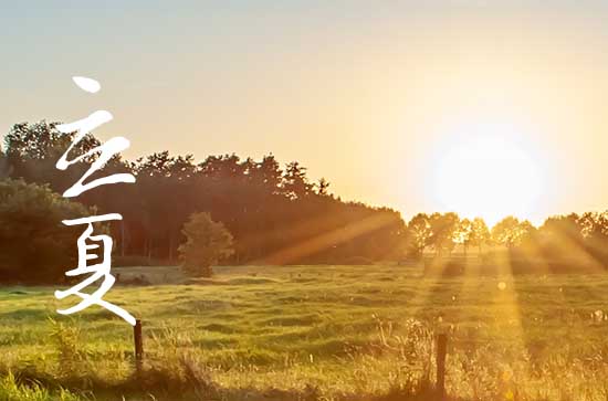 立夏的唯美短句子(90句) 立夏的唯美短句子(90句)