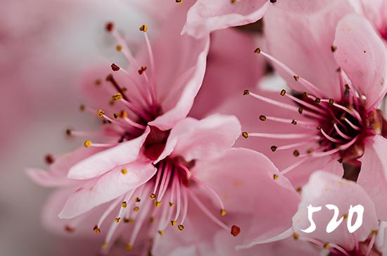 520没有收到礼物的幽默句子 520没有收到礼物的说说 520没有收到礼物的幽默句子 520没有收到礼物的说说