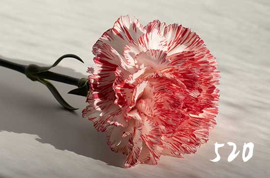 520发给女朋友的一段话 520发给老公的话经典 520发给女朋友的一段话 520发给老公的话经典