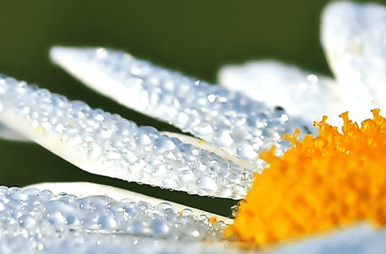 2023年普吉岛6月是雨季吗 普吉岛雨季天天下雨吗