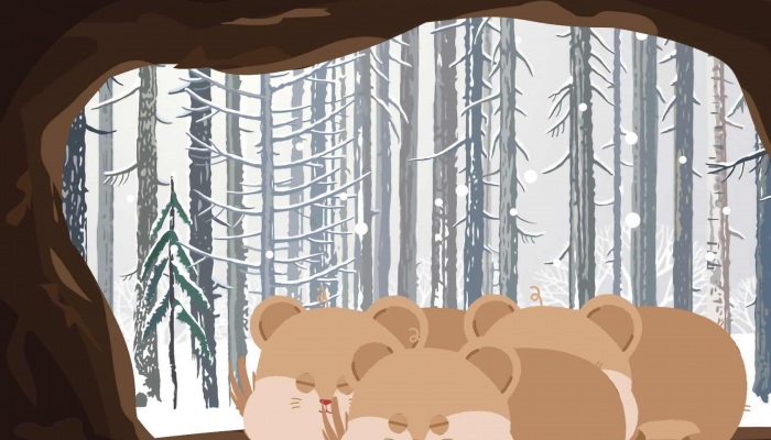 宠物荷兰猪其实是哪种动物 宠物荷兰猪是鼠科吗