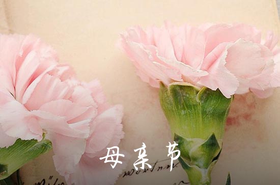 母亲节发多少红包给妈妈合适 母亲节发多少红包给妈妈合适