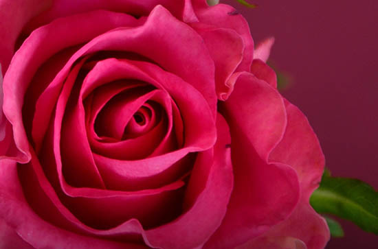 520给女朋友发520块钱红包好吗 520给女朋友发红包发多少合适