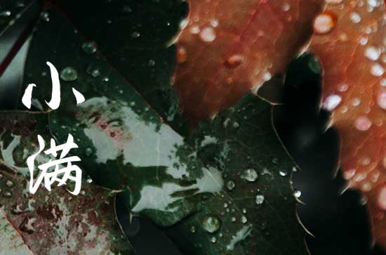 2023年小满是几月几号 2023年小满是几月几号