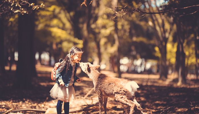 五行属木的字大全 五行属木又寓意好的字