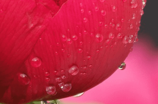合肥5号白天阴天有小雨并渐止 明天有雷阵雨天气  合肥5号白天阴天有小雨并渐止 明天有雷阵雨天气