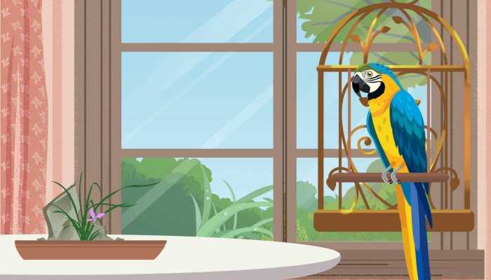 ​丈夫出轨被鹦鹉模仿露骨言语揭穿是真的吗 丈夫出轨被鹦鹉模仿露骨言语揭穿该怎么办