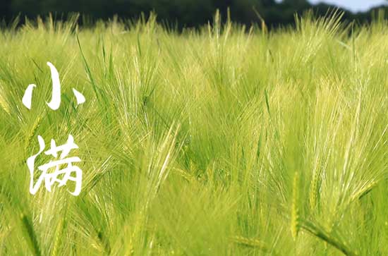 小满都是5月21日吗 小满都是5月21日吗