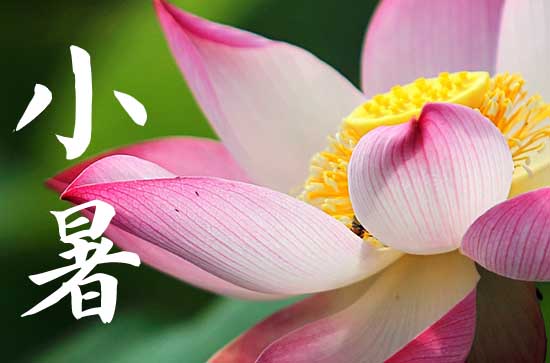 小暑是几月几日2023 小暑是几月几日2023