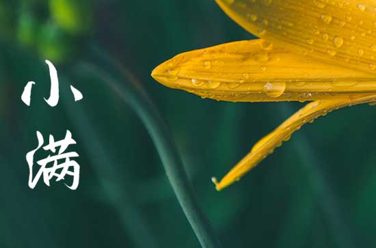 小满时间2023年几点几分 小满时间2023年几点几分