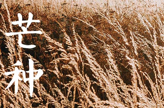 2023年芒种是几月几号